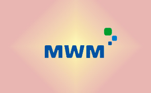 ✓ MWM 2937588 К-т прокладок двигателя 